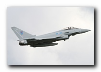 Waddo2012_ (241)